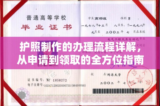 大邑护照制作的办理流程详解，从申请到领取的全方位指南