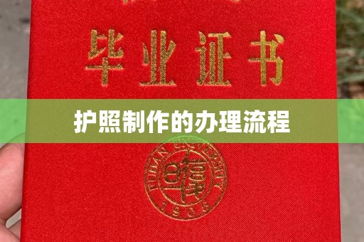 旬阳护照制作的办理流程
